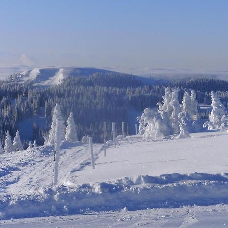 Haus Aretz Leilighet Feldberg  Eksteriør bilde